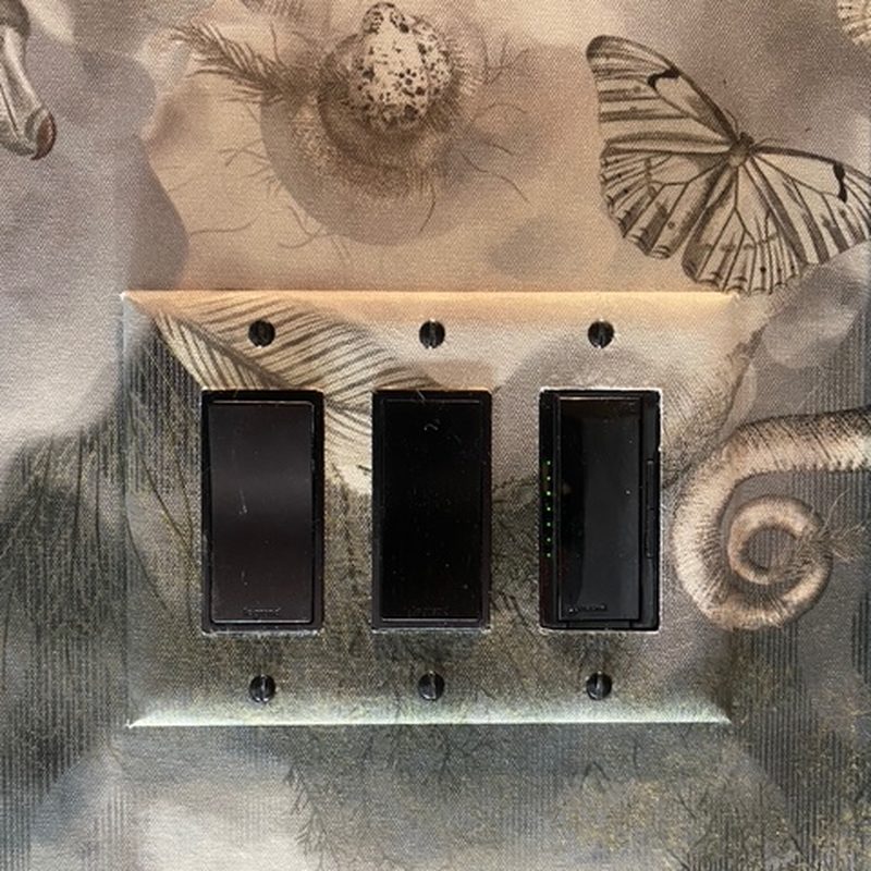 Airdrie butterfly wallpaper installation switch plate detail