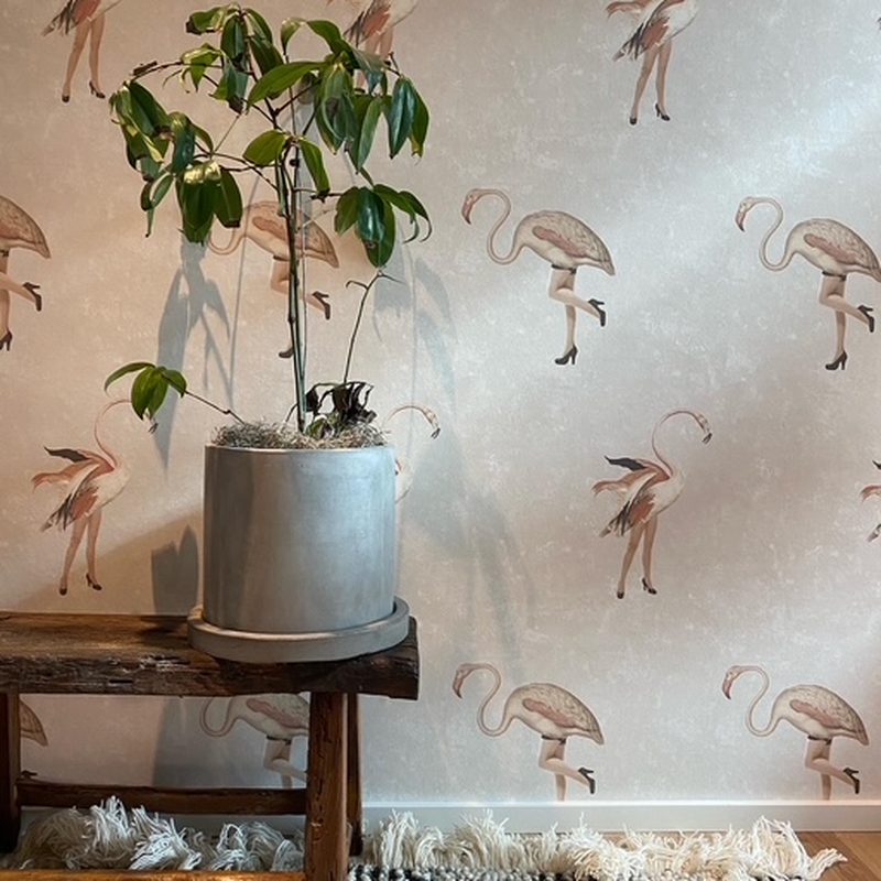 Calgary pink flamingo wallpaper installation accent wall