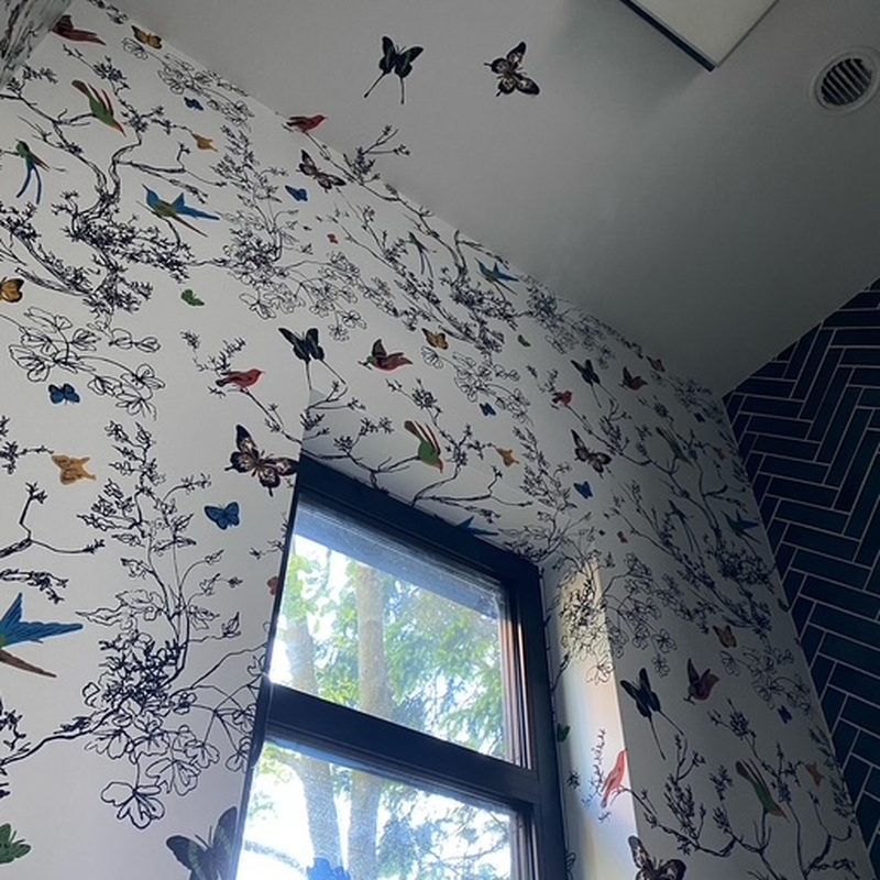 Vancouver butterfly branches wallpaper installation window niche